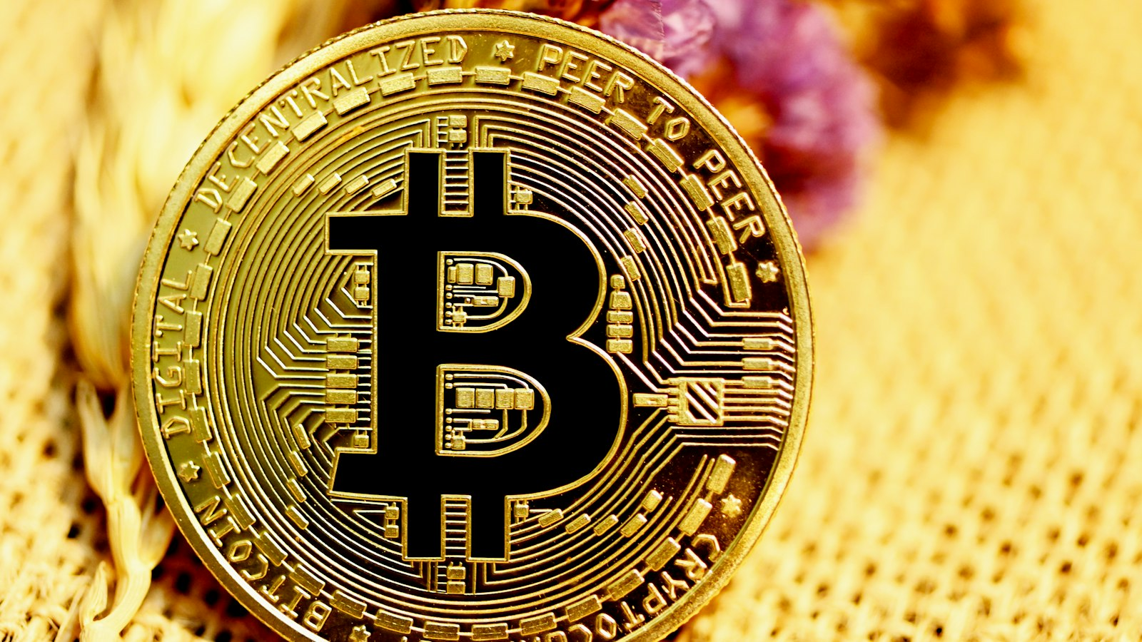 Gold physical Bitcoin coin on woven fabric with dried flowers