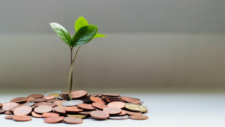Green sprout growing from a pile of coins on a white surface