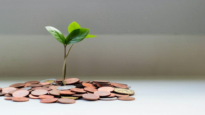 Coins savings